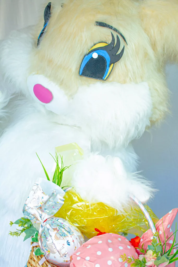 contratar coelho da pascoa no capao redondo