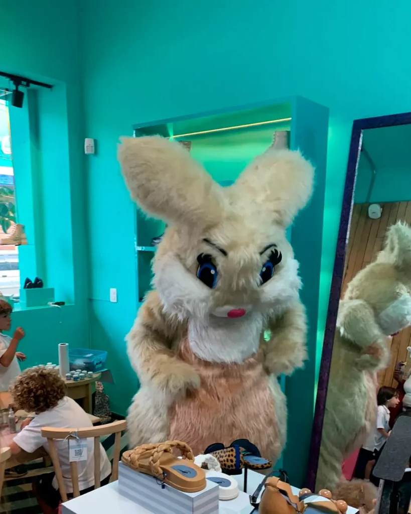 contratar coelho na loja blue bird shoes