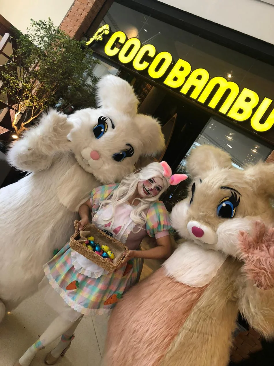 Coelhos da Páscoa Juntos em Mairinque