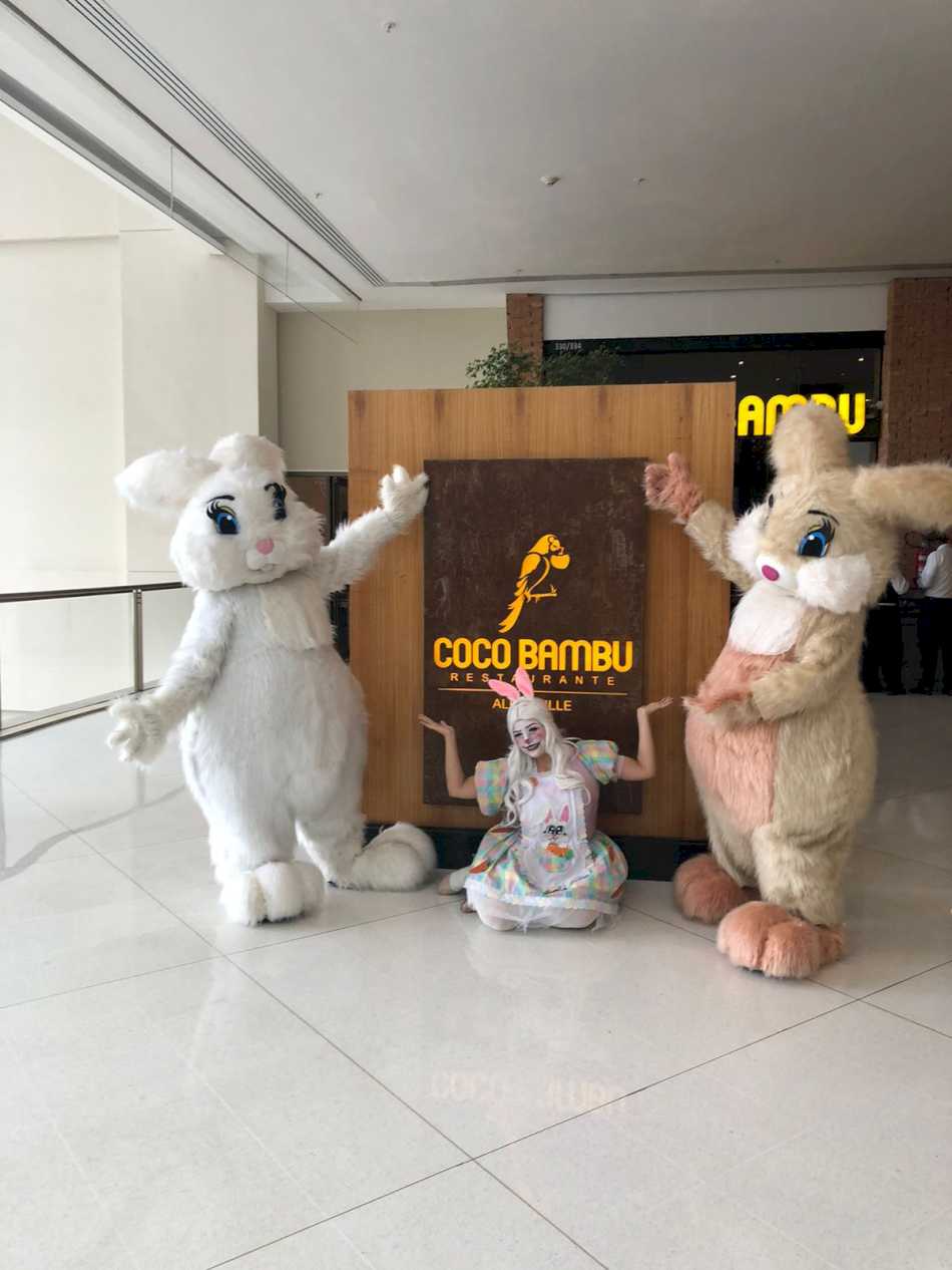 Dupla de coelho páscoa Dupla de coelho páscoa