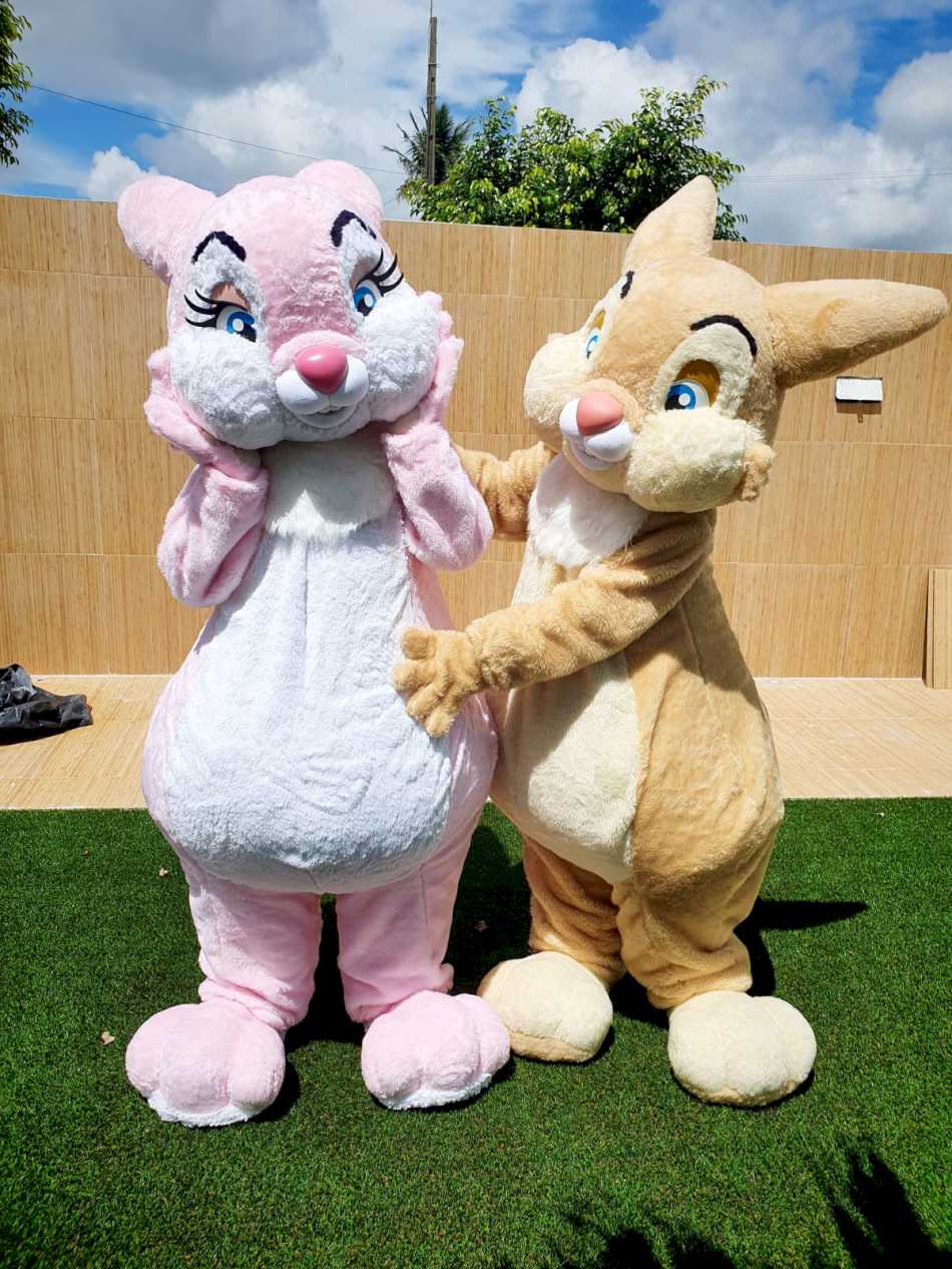 Dupla de coelho da páscoa Dupla de coelho da páscoa