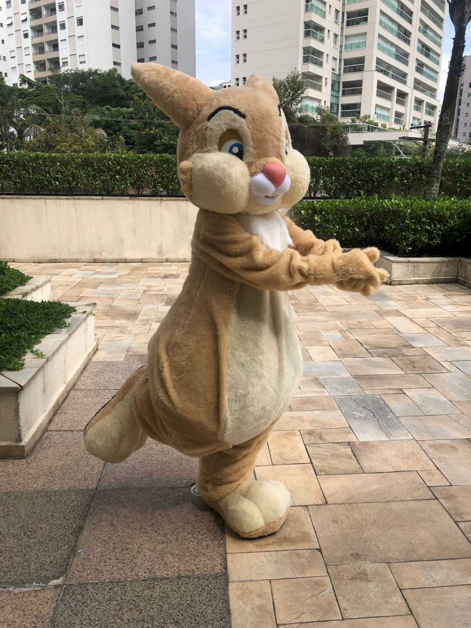 Coelinho da páscoa Coelinho da páscoa