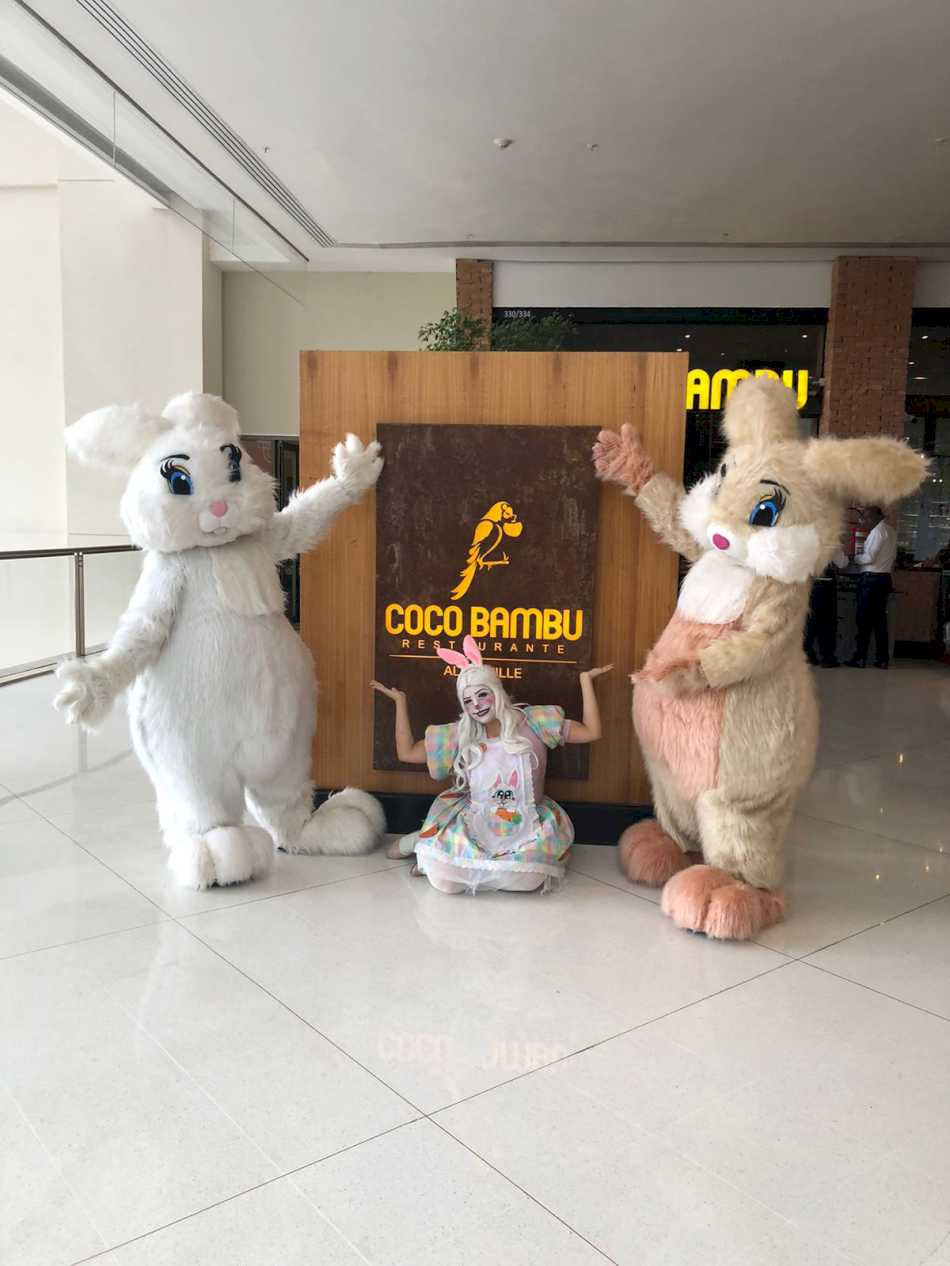Evento em shopping com coelete Evento em shopping com coelete